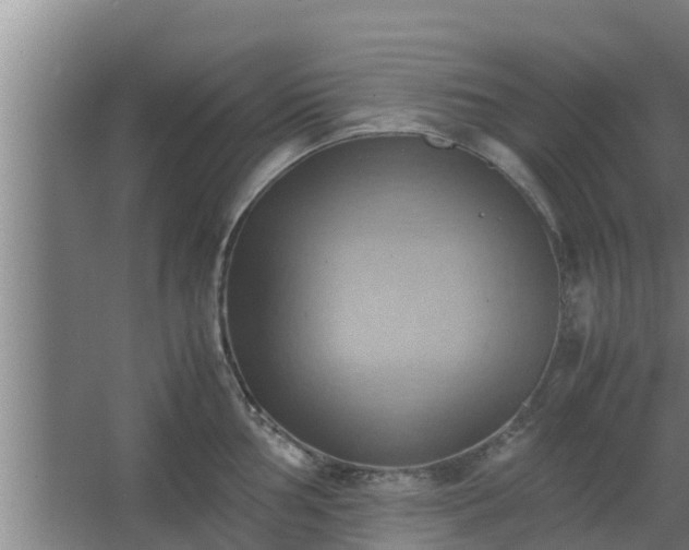 X0000064041002200602031553