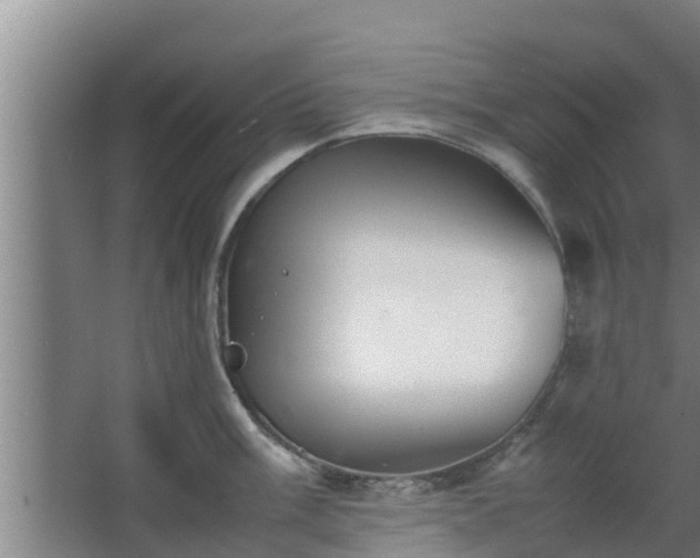 X0000064041003200602031553