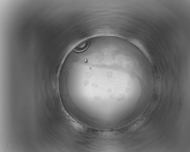 X0000064041004200602031553