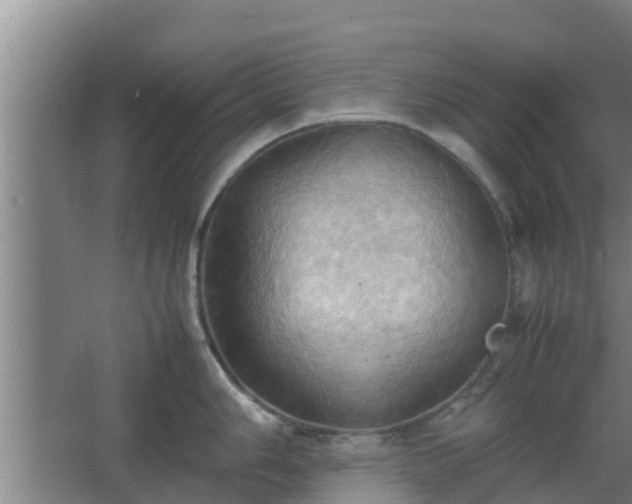 X0000064041006200602031553