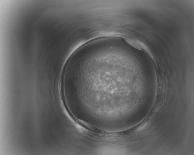 X0000064041007200602031552