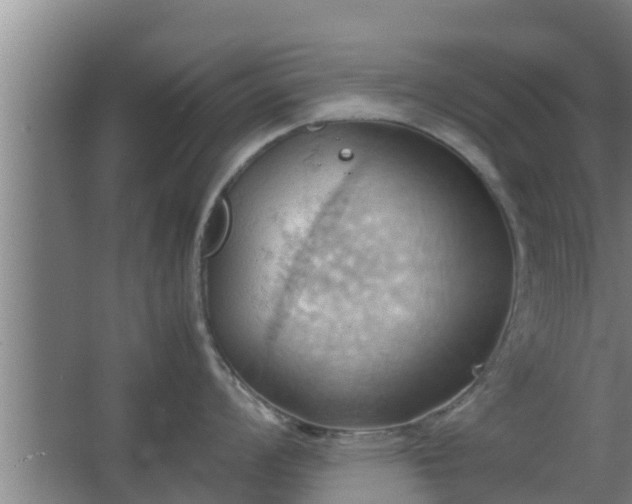 X0000064041008200602031552