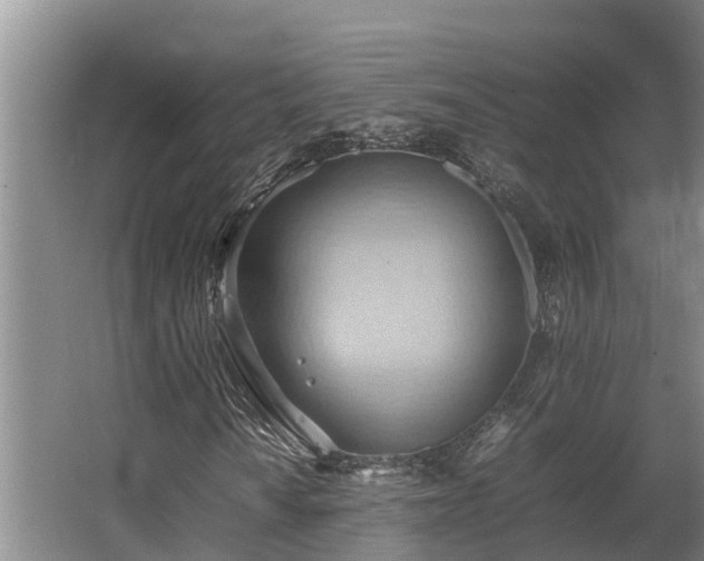 X0000064041010200602031552