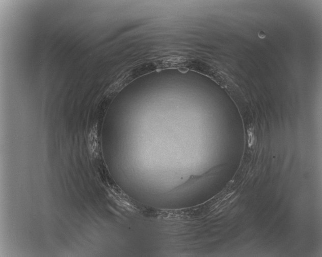 X0000064041011200602031552