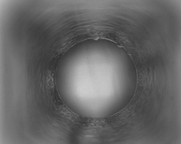 X0000064041013200602031552