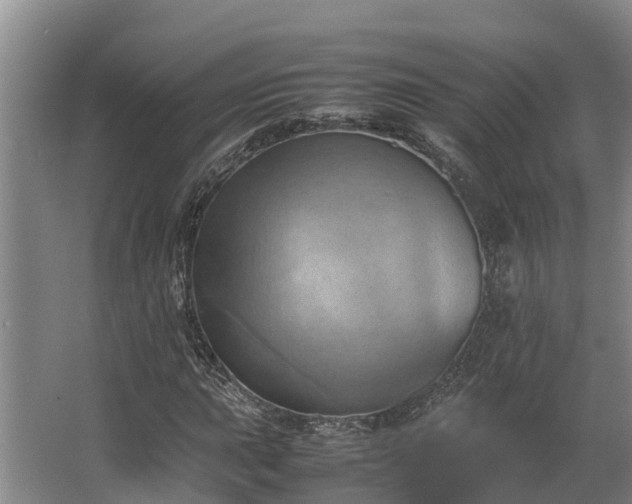 X0000064041015200602031552