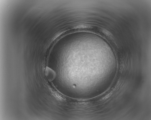 X0000064041017200602031552