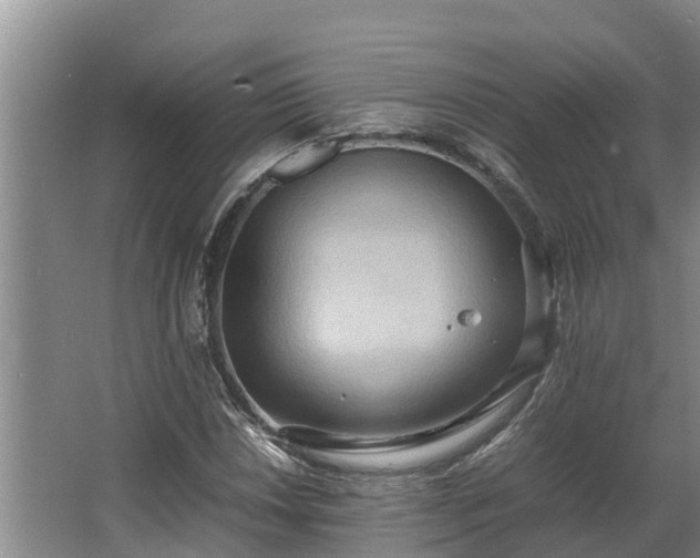 X0000064041018200602031552