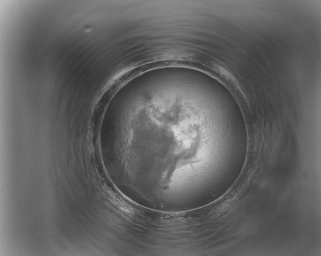 X0000064041019200602031552