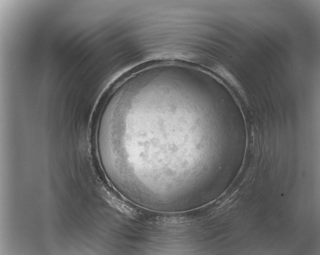 X0000064041020200602031552