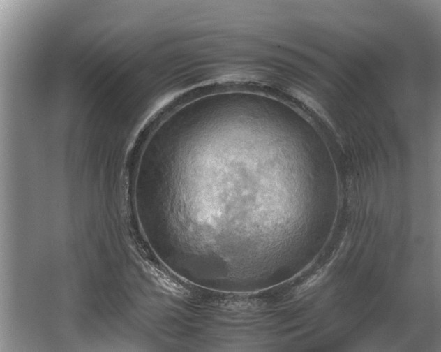 X0000064041021200602031552