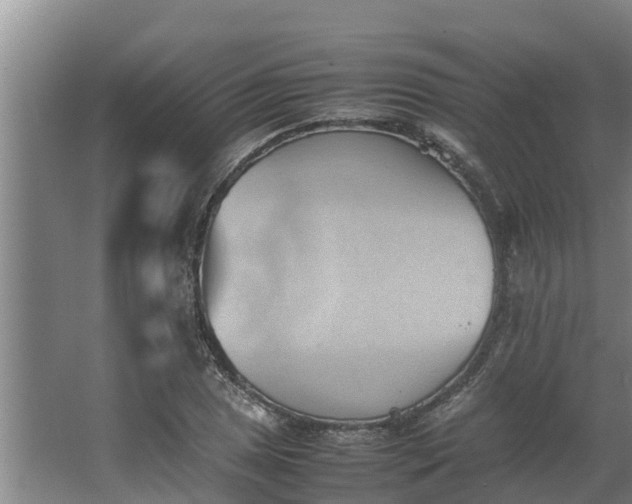 X0000064041025200602031552