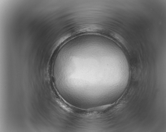 X0000064041026200602031552