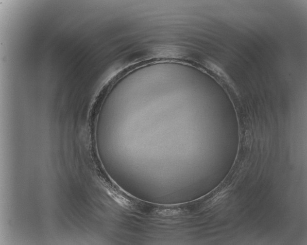 X0000064041027200602031552