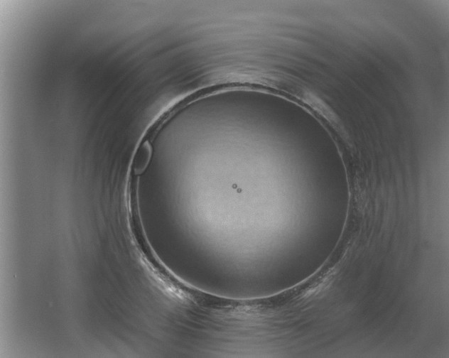 X0000064041028200602031552