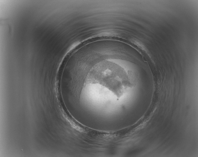 X0000064041029200602031552