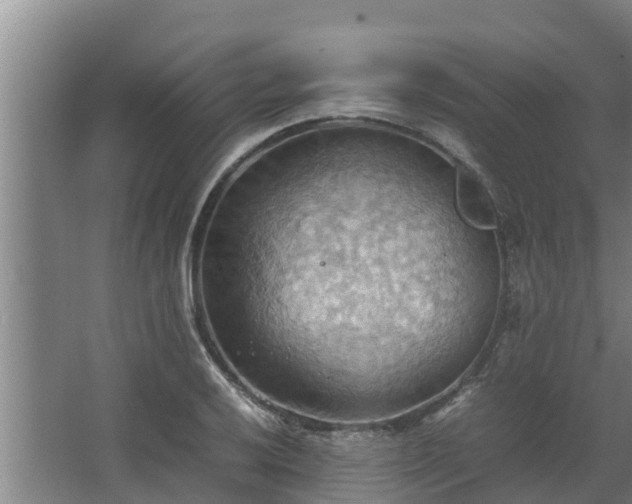 X0000064041032200602031552