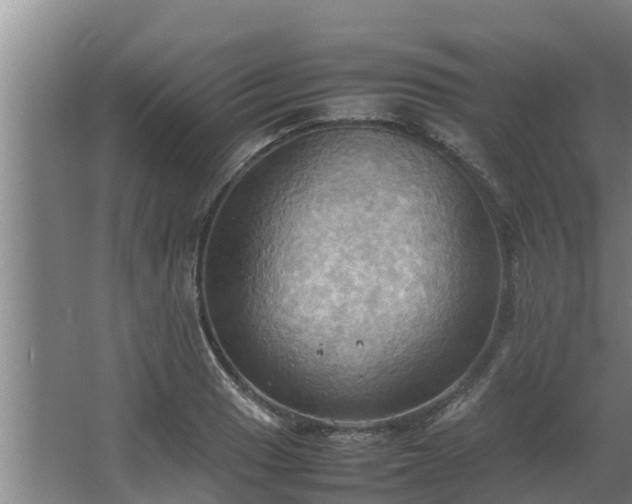 X0000064041033200602031552