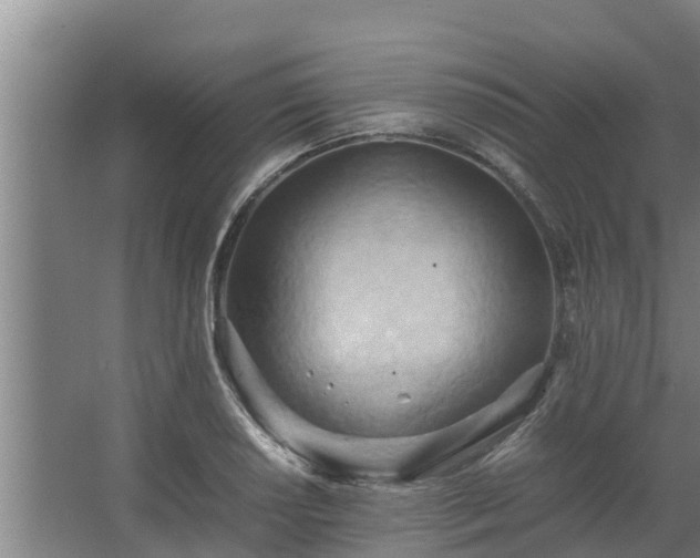 X0000064041034200602031552