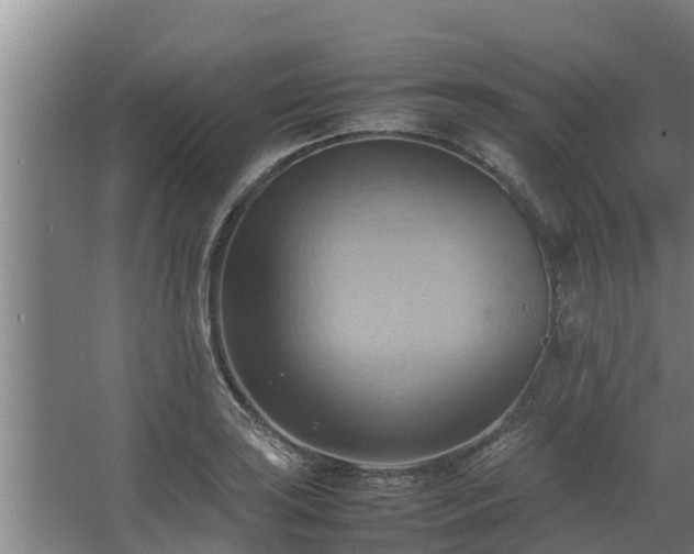 X0000064041035200602031552