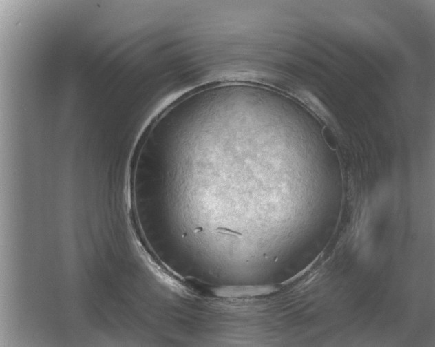 X0000064041036200602031552