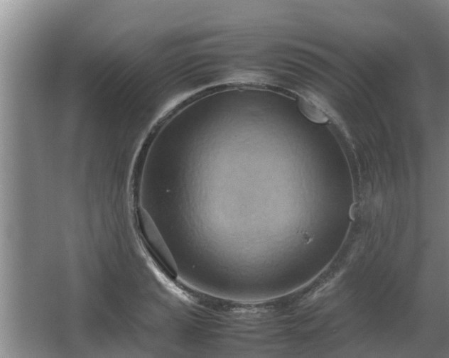 X0000064041037200602031552