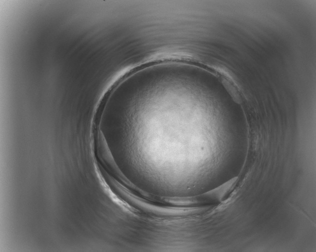 X0000064041038200602031552