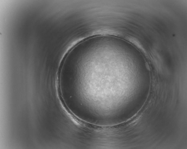 X0000064041040200602031552