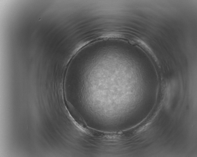 X0000064041041200602031552