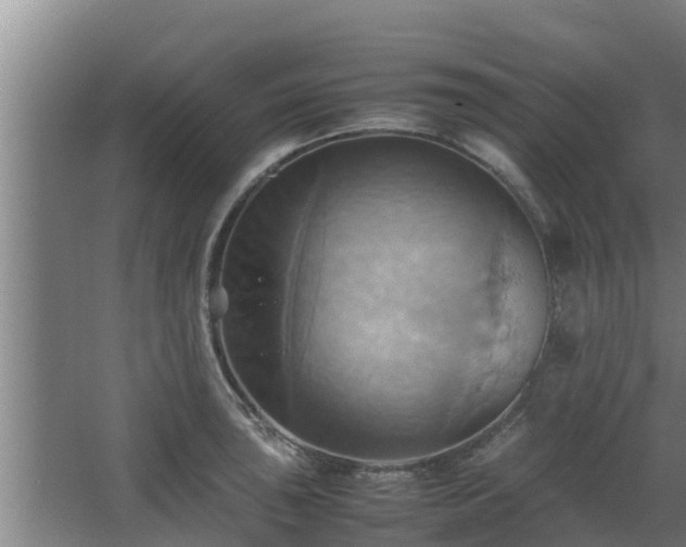 X0000064041043200602031552