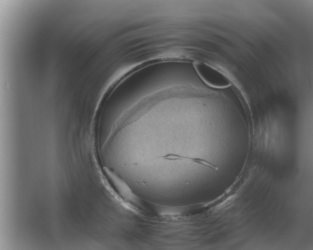 X0000064041045200602031552