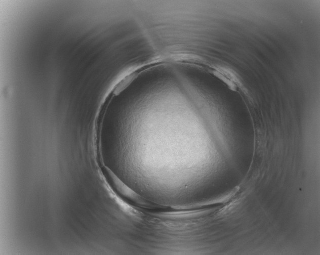 X0000064041046200602031552