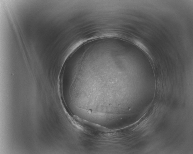 X0000064041047200602031552