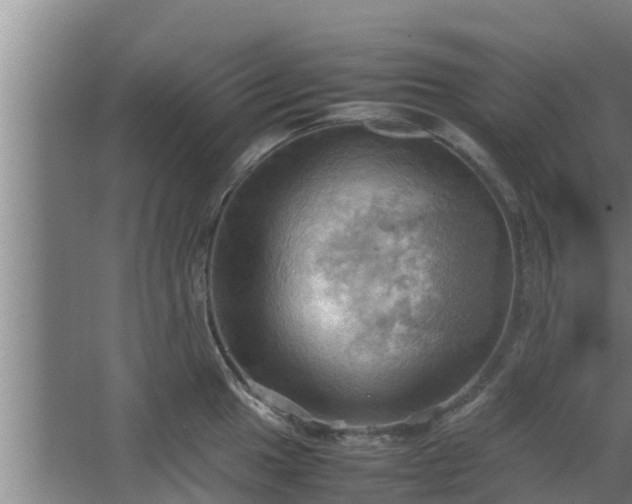 X0000064041049200602031552