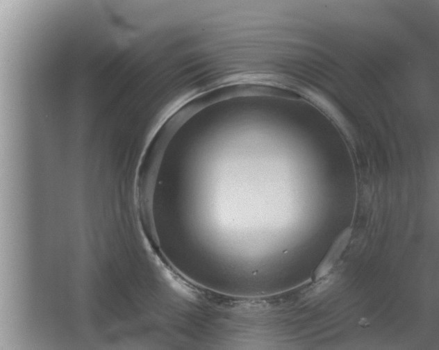 X0000064041050200602031552