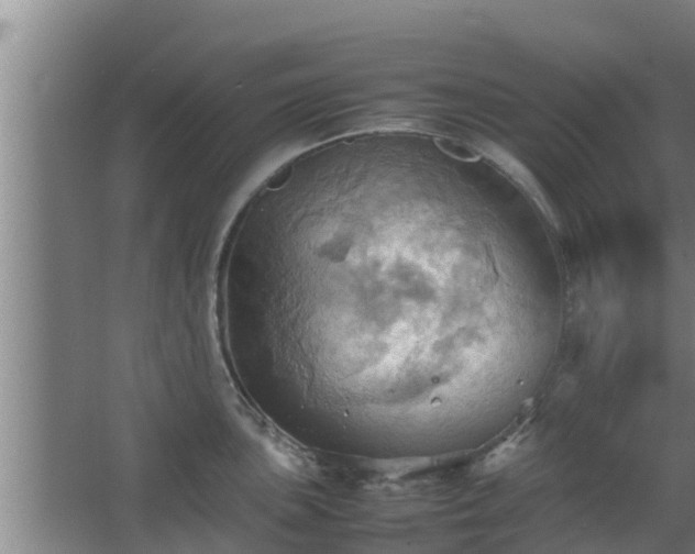 X0000064041051200602031552