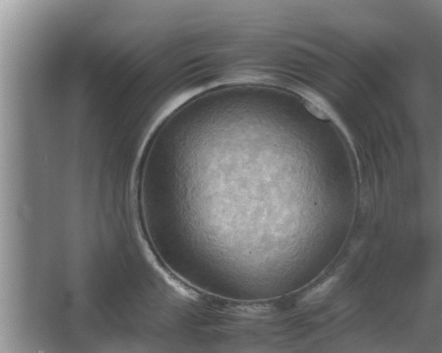 X0000064041053200602031552