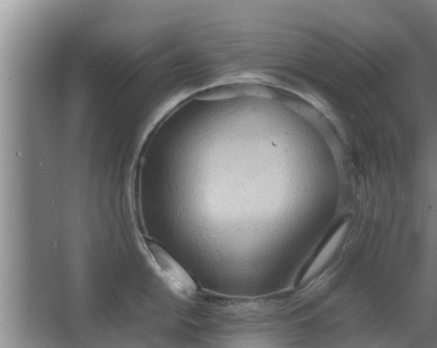 X0000064041054200602031552