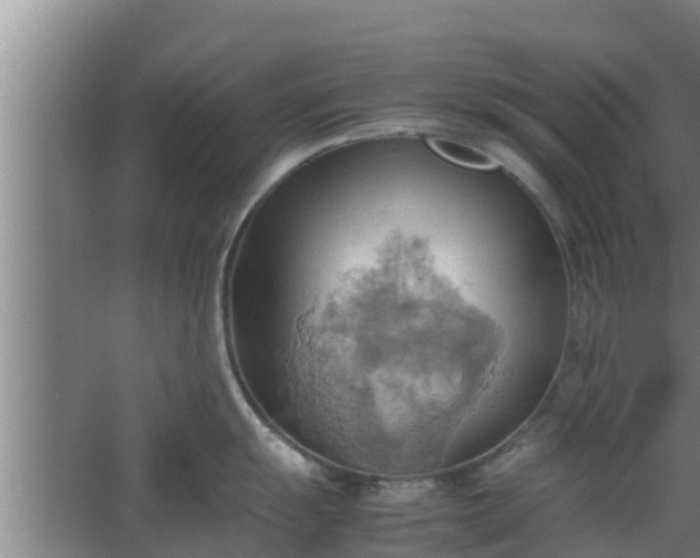 X0000064041055200602031552