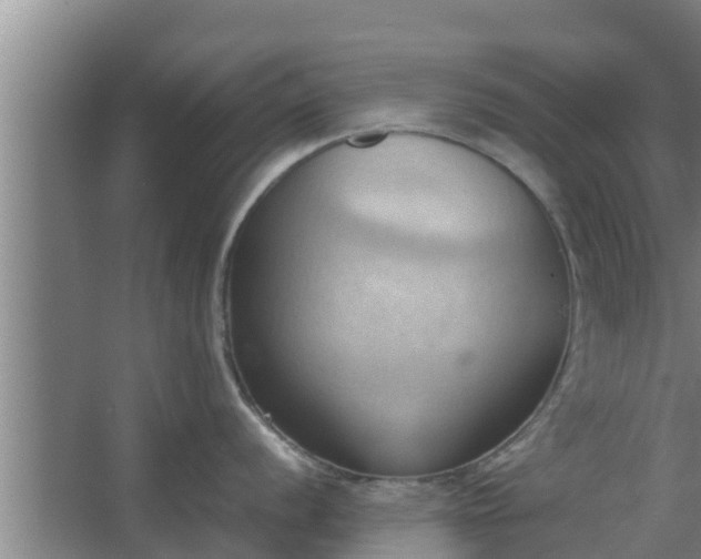 X0000064041056200602031552