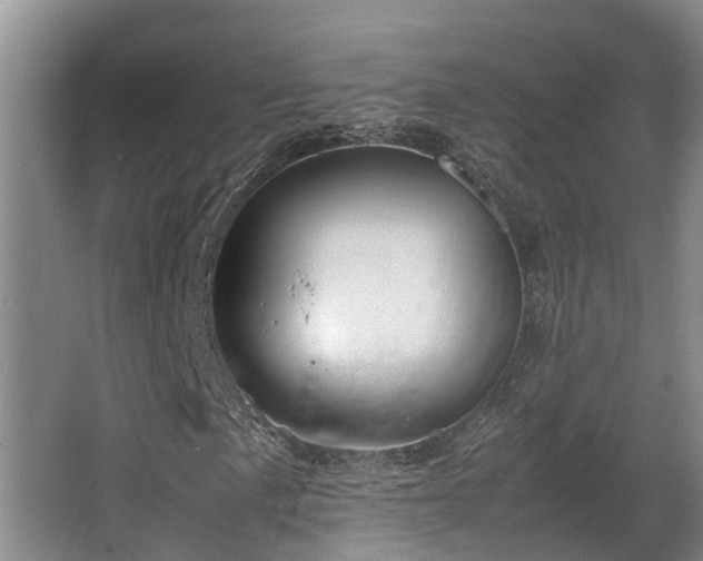 X0000064041057200602031552