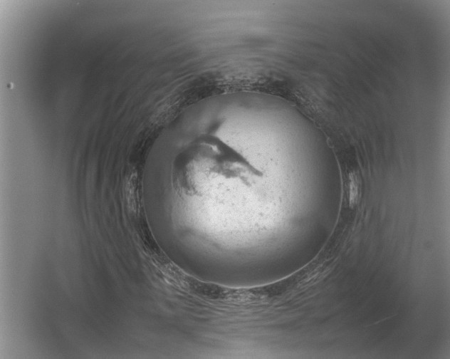 X0000064041059200602031552