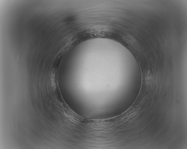 X0000064041060200602031552