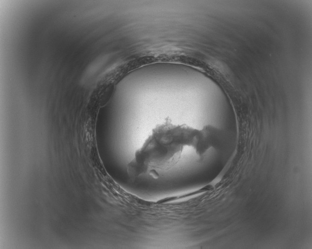 X0000064041063200602031552