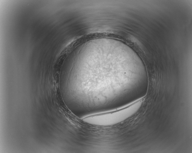 X0000064041064200602031552