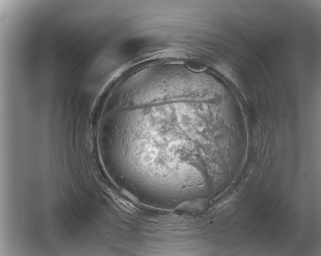 X0000064041067200602031551