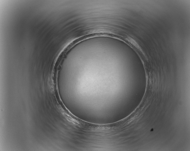 X0000064041068200602031551