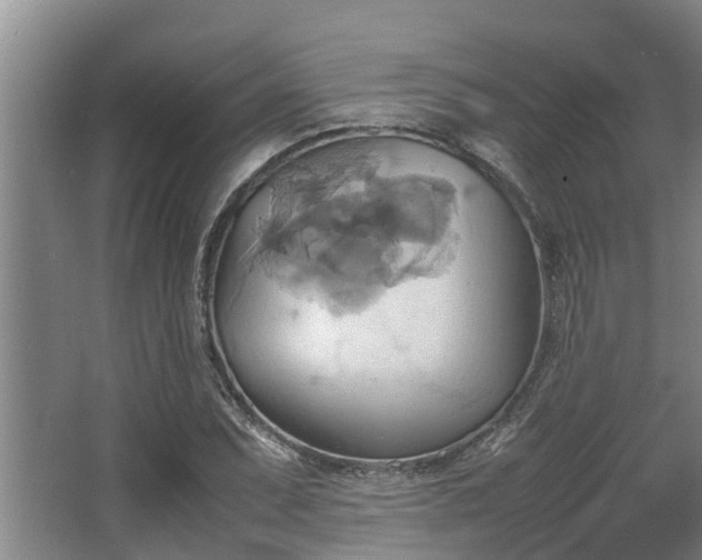 X0000064041071200602031551