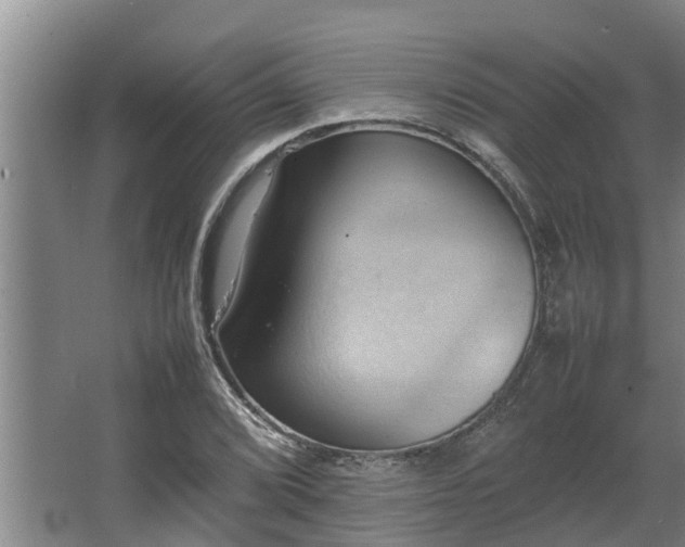 X0000064041072200602031551