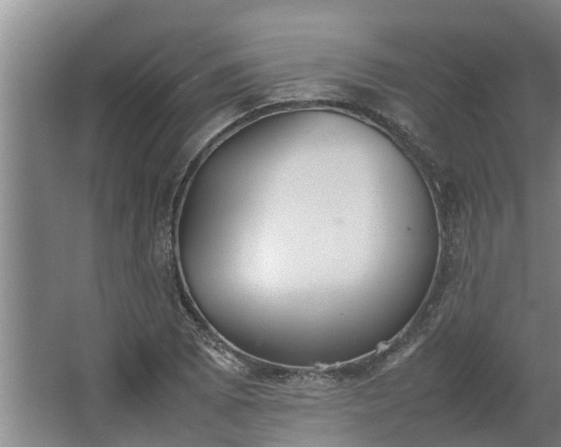 X0000064041073200602031551